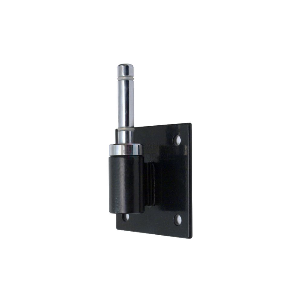 Adjustable wall mount for flag display