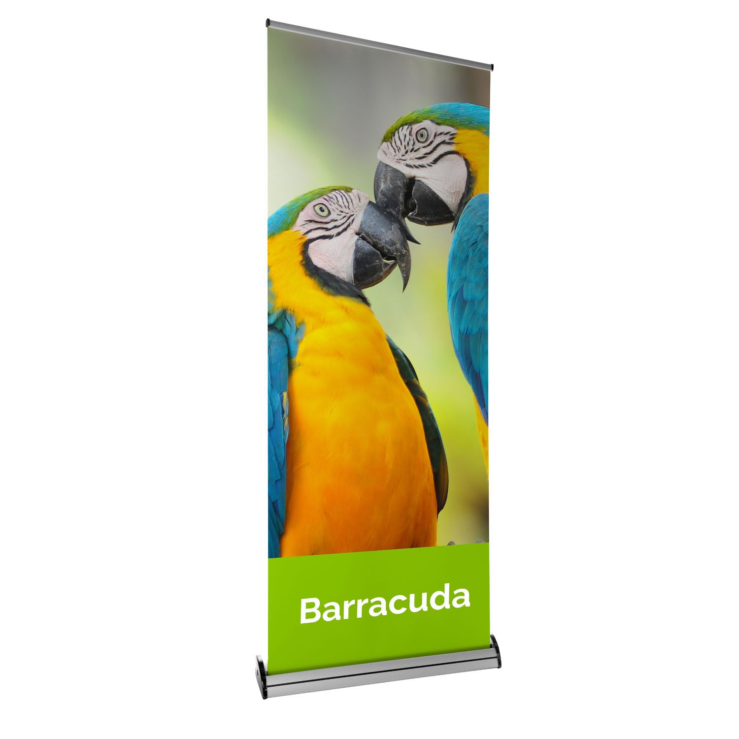 Deluxe Roller Banner