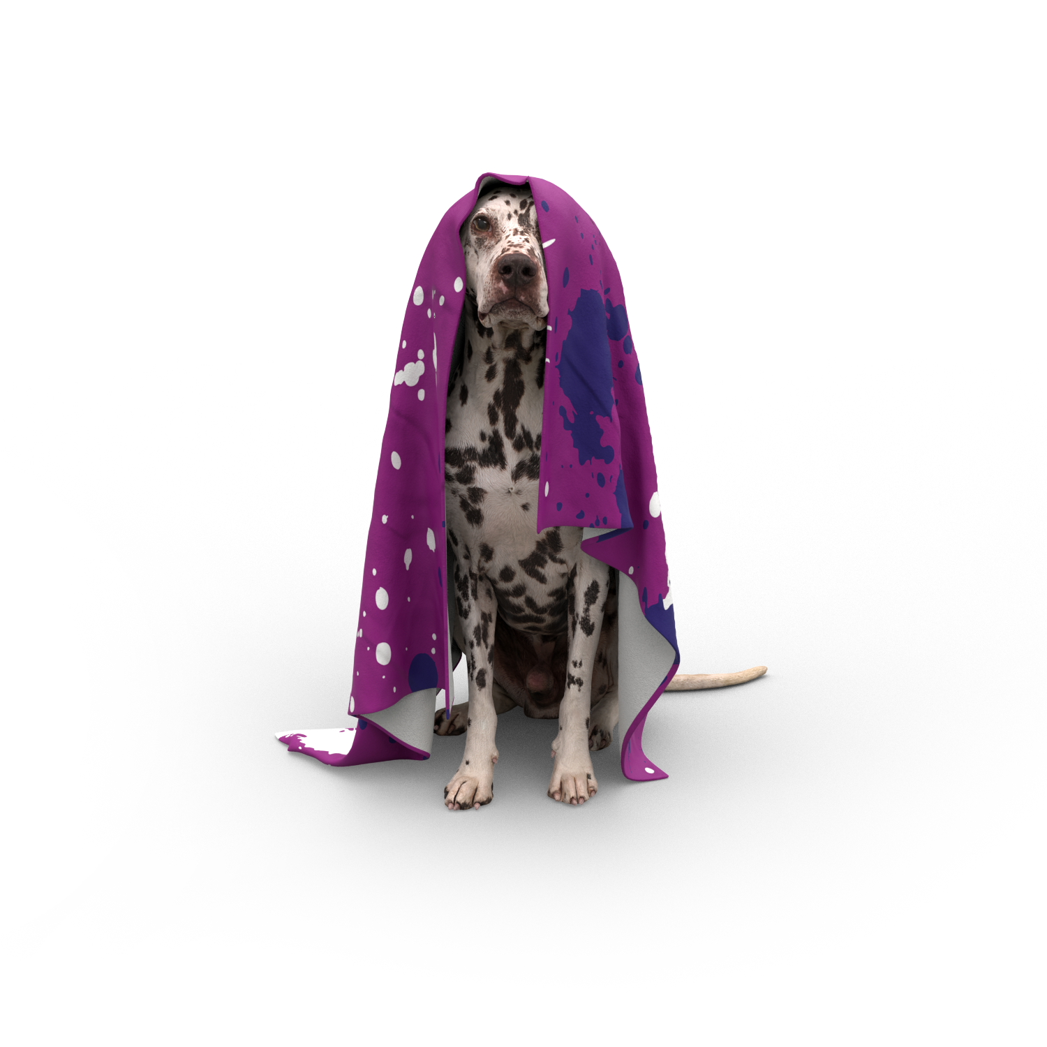 Pet Blanket